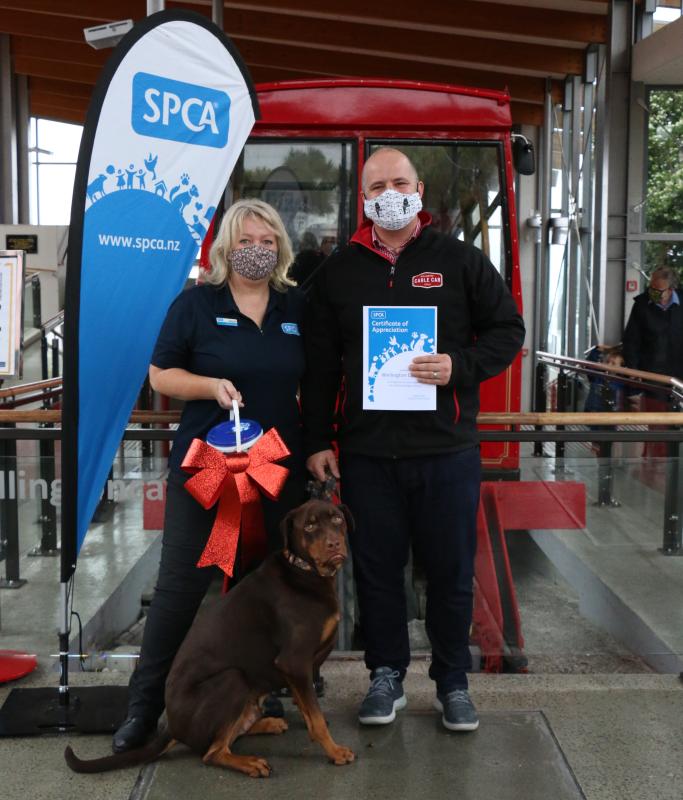 SPCA Day